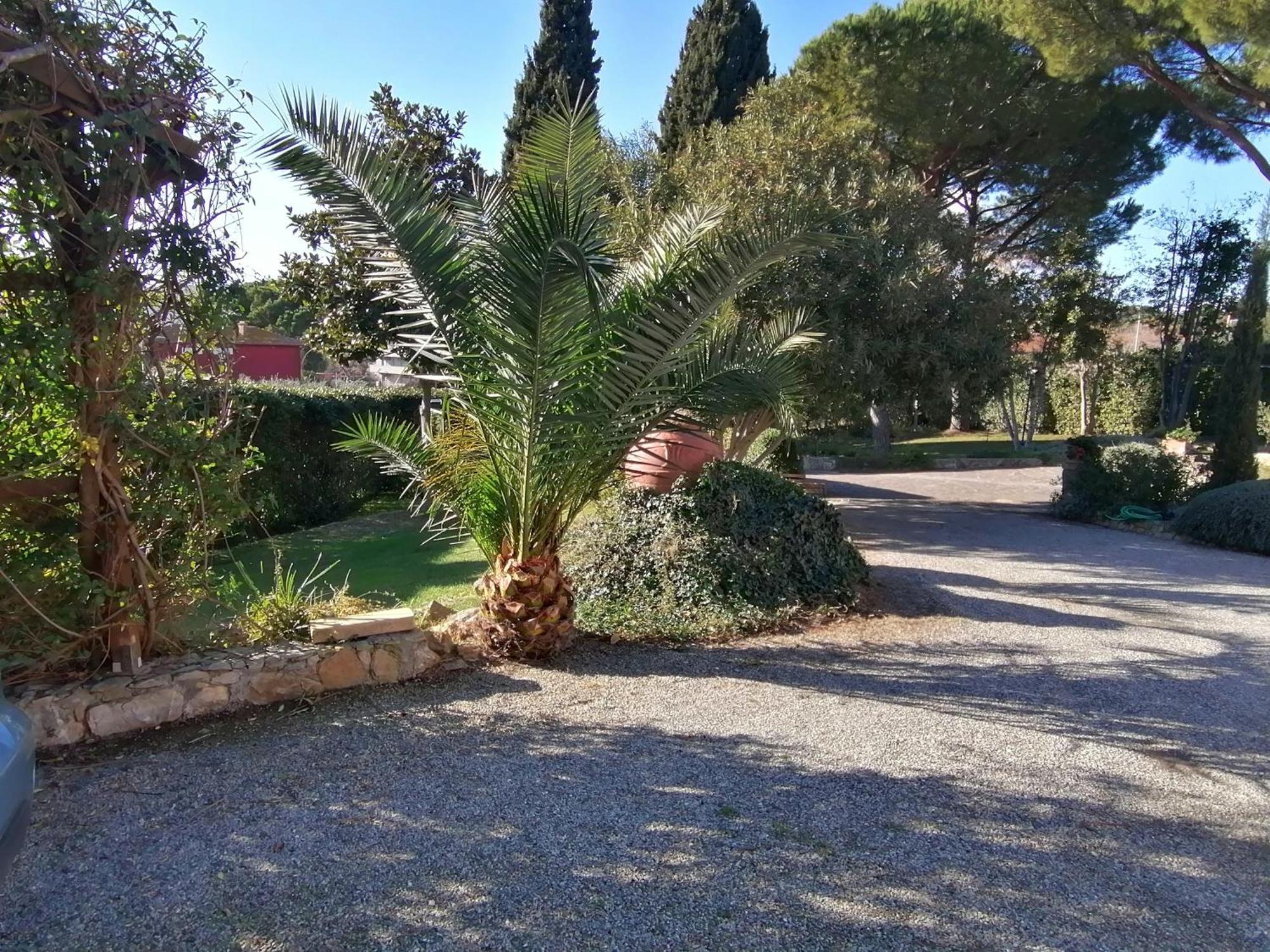 Affitti Brevi Toscana - Villa Simple Fonteblanda Dış mekan fotoğraf
