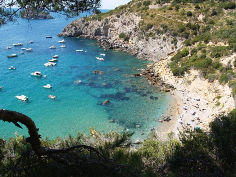 Affitti Brevi Toscana - Villa Simple Fonteblanda Dış mekan fotoğraf